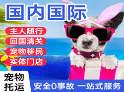 安阳红旗渠航空货运国际宠物托运 【国